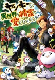 yankee-wa-isekai-de-seirei-ni-aisaremasu-thumb