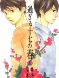 sugiru-17-no-haru-thumb